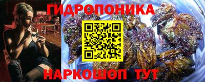 СК Сланцы