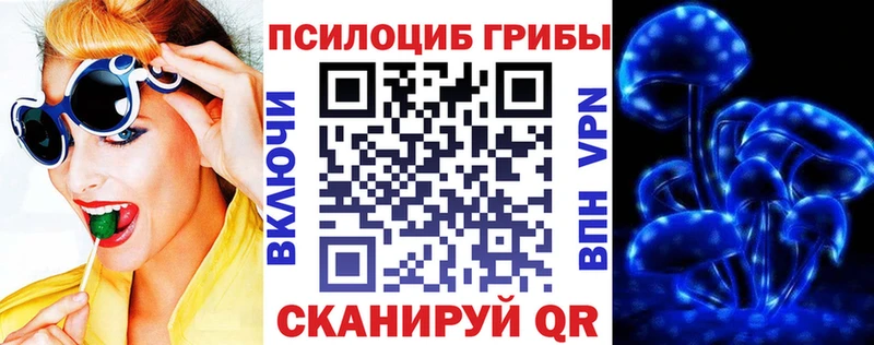 нарко площадка формула  Уссурийск  Галлюциногенные грибы MAGIC MUSHROOMS 