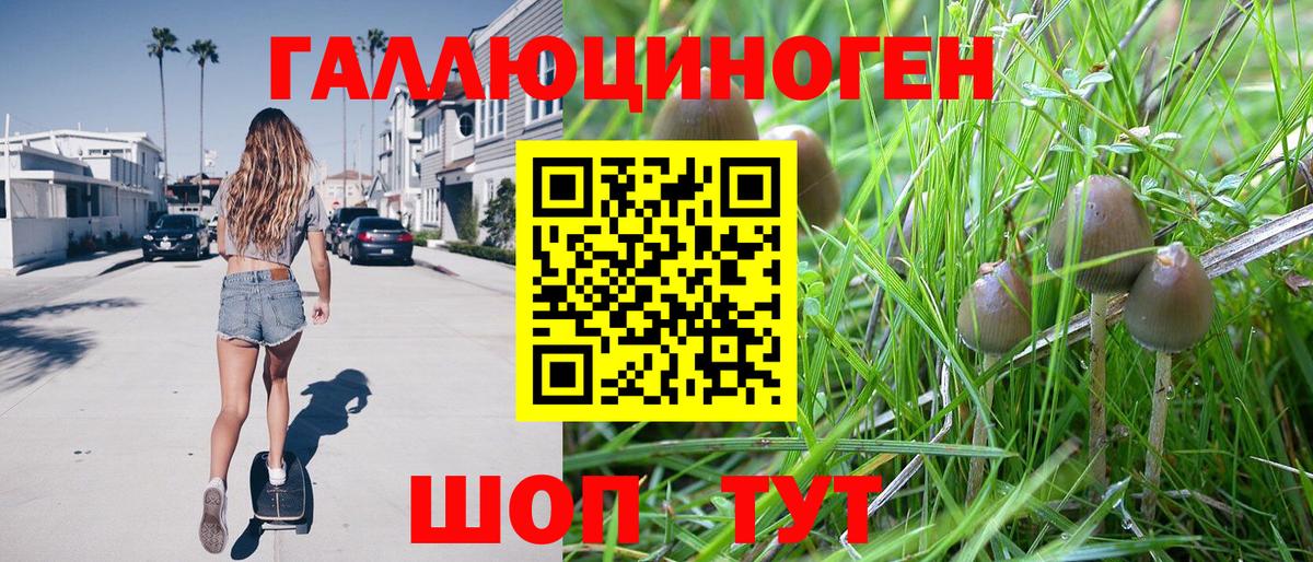 Галлюциногенные грибы MAGIC MUSHROOMS  Вход с VPN  Уссурийск  Псилоцибиновые грибы мицелий 